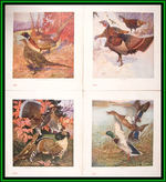 "DU PONT" GAME BIRD PRINTS BY LYNN BOGUE HUNT.