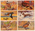 DUPONT GUNPOWDER BIRDS/ANIMALS PREMIUM POSTCARD SET.