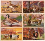 DUPONT GUNPOWDER BIRDS/ANIMALS PREMIUM POSTCARD SET.