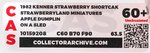 "STRAWBERRYLAND MINIATURES" LOT OF TEN UNCIRCULATED CAS GRADED CARDED PVC FIGURES.