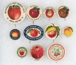 APPLES, PEACHES & HORTICULTURAL SOCIETIES 11 BUTTONS ALL SHOWING FRUIT.