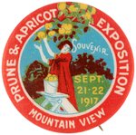 PRUNE & APRICOT EXPOSTION RARE BUTTON FROM 1917 MOUNTAIN VIEW, CA. EVENT.