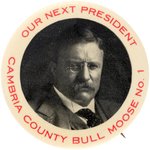 RARE ROOSEVELT 1912 "CAMBRIA COUNTY BULL MOOSE NO. 1" BUTTON HAKE #61.