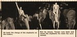 "TARZAN AND HIS MATE" HORMEL THEATER PREMIUM FILMSTRIP.