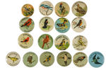 "AUDUBON SOCIETY" COLLECTION OF 18 EARLY BUTTONS.