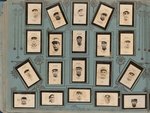 COMPLETE 1923-24 NACIONALES CIGARROS CUBAN CARD ALBUM WITH HOF'ERS: COOPER, MENDEZ & TORRIENTE.