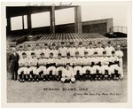 1942 SPORTING NEWS- NEWARK BEARS BASEBALL TEAM PHOTO PREMIUM.