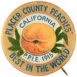 BEAUTIFUL PAN PACIFIC 1915 EXPO BUTTON MADE BY BRUNT FOR PLACER COUNTY (CALIF.) PEACHES.