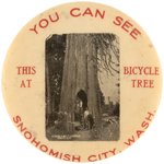 C. 1913 FAMOUS GIANT SNOHOMISH CITY, WASHINGTON LANDMARK KNOWN AS THE BICYCLE TREE.