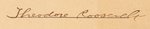 "THEODORE ROOSEVELT" SIGNED 1902 POSTMASTER COMMISSION DOCUMENT.