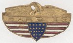 "HARDING" PATRIOTIC EAGLE PIN-BACK BADGE.