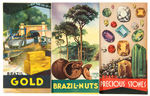 NYWF 1939 BRAZILIAN PRODUCTS FOLDERS.