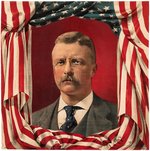 ROOSEVELT DRAPED AMERICAN FLAG PORTRAIT TEXTILE.