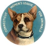 SUPERB COLOR EARLY ANIMAL WELFARE BUTTON C. 1910 AND THE BUTTON POWER BOOK PHOTO EXAMPLE.