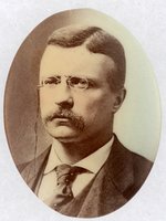 COLORIZED OVAL THEODORE ROOSEVELT PORTRAIT BUTTON.