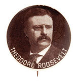 "THEODORE ROOSEVELT" 1904 PORTRAIT HAKE #81.