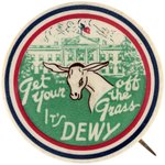 GET YOUR (ASS) OFF THE GRASS IT'S DEW(E)Y SATIRICAL CAMPAIGN BUTTON.