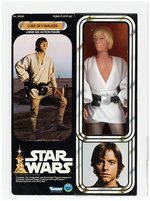 STAR WARS (1978) - LUKE SKYWALKER 12-INCH SERIES AFA 80 NM.