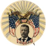 ROOSEVELT EAGLE & AMERICAN FLAGS FULL COLOR PORTRAIT BUTTON HAKE #3260.