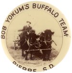 SOUTH DAKOTA SALOON KEEPER WITH HIS TRAINED BUFFALOS HITCHED TO A WAGON REAL PHOTO BUTTON C. 1910.