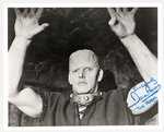 THE HORROR OF FRANKENSTEIN - DAVID PROWSE SIGNED PHOTO.