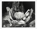 ATTACK OF THE CRAB MONSTER - RUSSELL JOHNSON SIGNED PHOTO.