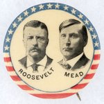 ROOSEVELT & MEAD WASHINGTON COATTAIL BUTTON.