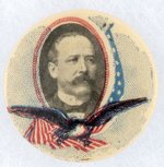 SCARCE PARKER EAGLE & AMERICAN FLAG PORTRAIT BUTTON HAKE #3125.
