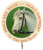 HEALO GALL SALVE/OINTMENT C. 1909 RARE MEDICINE BUTTON PLATE EXAMPLE FROM CPB 1896-1986.