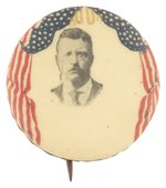 ROOSEVELT DRAPED FLAG MOTIF PORTRAIT BUTTON.