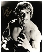 THE INCREDIBLE HULK - LOU FERRIGNO SIGNED PHOTO.