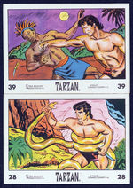 "TARZAN" ENGLISH CANDY CARD SET.