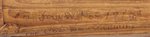 PROHIBITION "NOW KEEP US DRY FOR GOV. WM. C. SPROUL" 1918 PA HAND CARVED CANE.