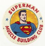 SUPERMAN MUSCLE BUILDING CLUB MEMBER BUTTON FROM THE 1954 SUPERMAN GOLDEN MUSCLE BUILDING SET.