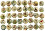 BUTTON SET OF 40 DIFFERENT BIRDS SOLD FROM STORE CARDS IN THE 1930s.