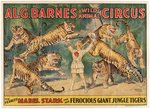 MABEL STARK BIG CAT ANIMAL TAMER AL. G. BARNES CIRCUS POSTER.