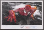 "VENOMOUS SPIDER-MAN" FRAMED ORIGINAL ART BY ROBERT BAILEY & STAN LEE SIGNED.