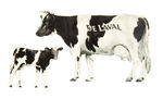 "DE LAVAL" DIE-CUT TIN COWS.