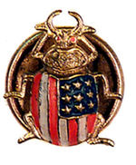 McKINLEY 1896 FLAG MOTIF GOLDBUG LAPEL STUD.