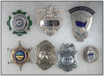 PROFESSIONAL BADGES (7) FOR SECURITY & OTHERS.