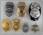 SEVEN PROFESSIONAL "SECURITY" BADGES.