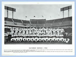 "BALTIMORE ORIOLES" 1964-65-66 TEAM PHOTOS.