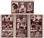 "HAL ROACH'S RASCALS-OUR GANG" EXHIBIT CARD LOT OF 18.