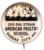 "POULTRY SCHOOL" EGGS REAL PHOTO.