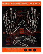 “THE SKELETON GRASPING HAND MODEL KIT.”