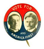 WILSON "AMERICA FIRST" 1916 JUGATE.