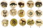 FIRST EVER ANIMALS BUTTON SET C. 1898 AND COMPLETE ISSUED BY AMERICAN PEPSIN GUM.