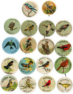 AUDUBON SOCIETY GROUP OF 18 BIRD BUTTONS SPANNING 1912 TO 1940s.