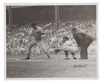 TED WILLIAMS BATTING/YOGI BERRA CATCHING NEWS SERVICE PHOTO.