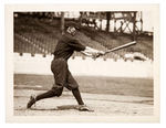 CUBAN BASEBALL PLAYER ARMANDO MARSANS NEWS SERVICE PHOTO.